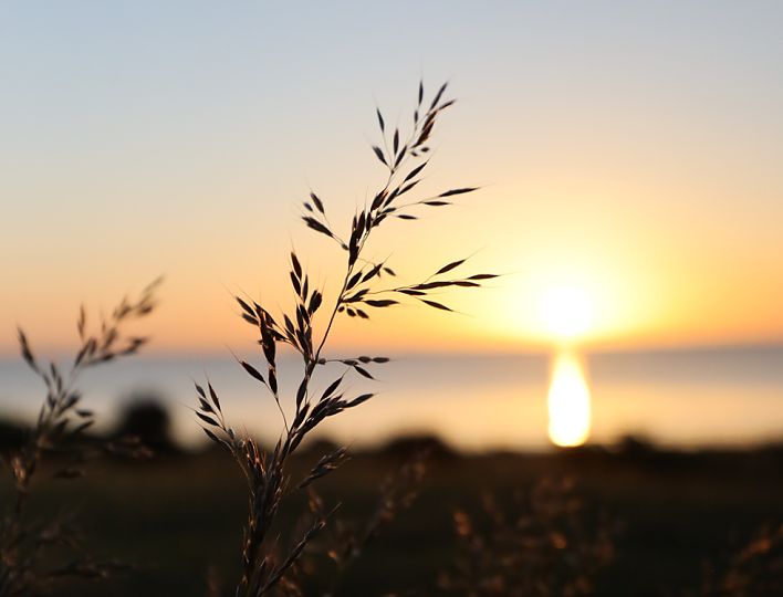 Fehmarn Urlaub 2022