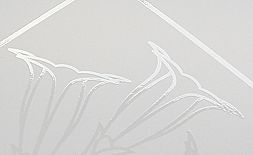 Corporate Design