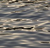 Wasser