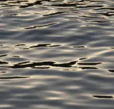 Wasser