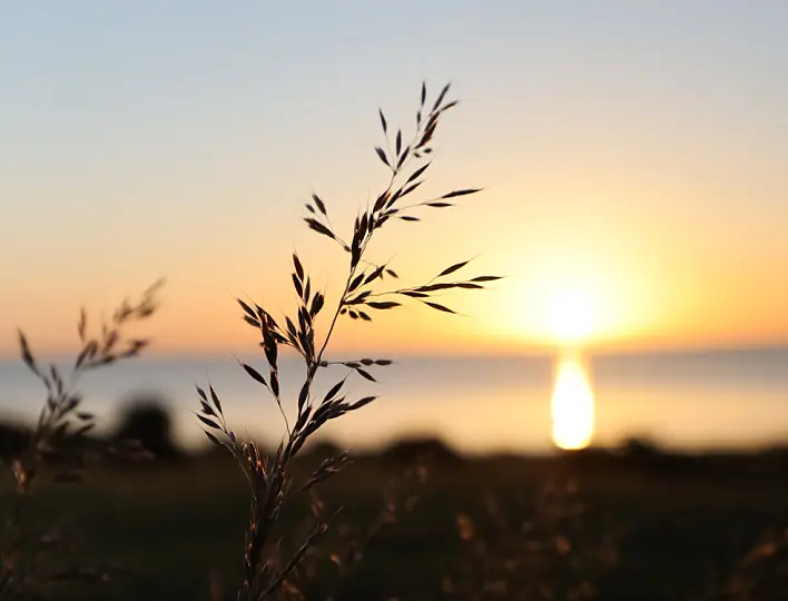 Fehmarn Urlaub 2022