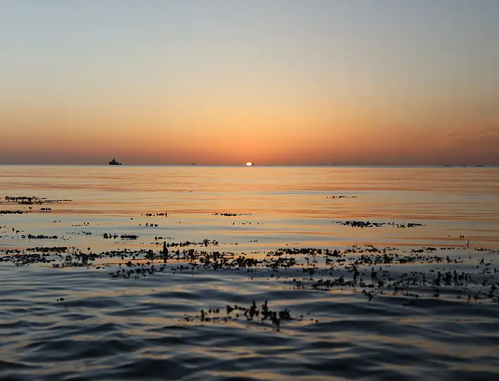 Fehmarn Urlaub 2022